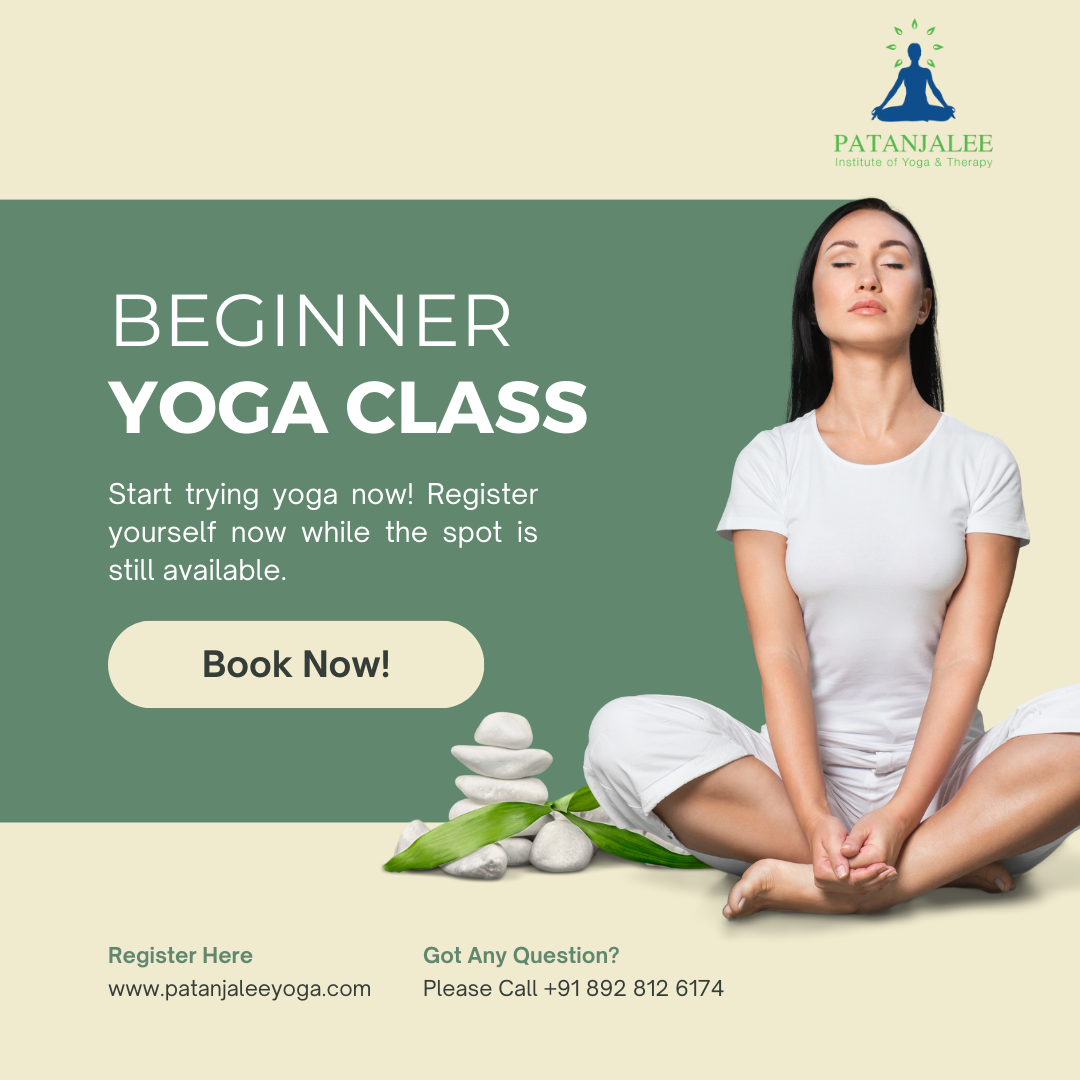 Online Beginner Yoga Classes