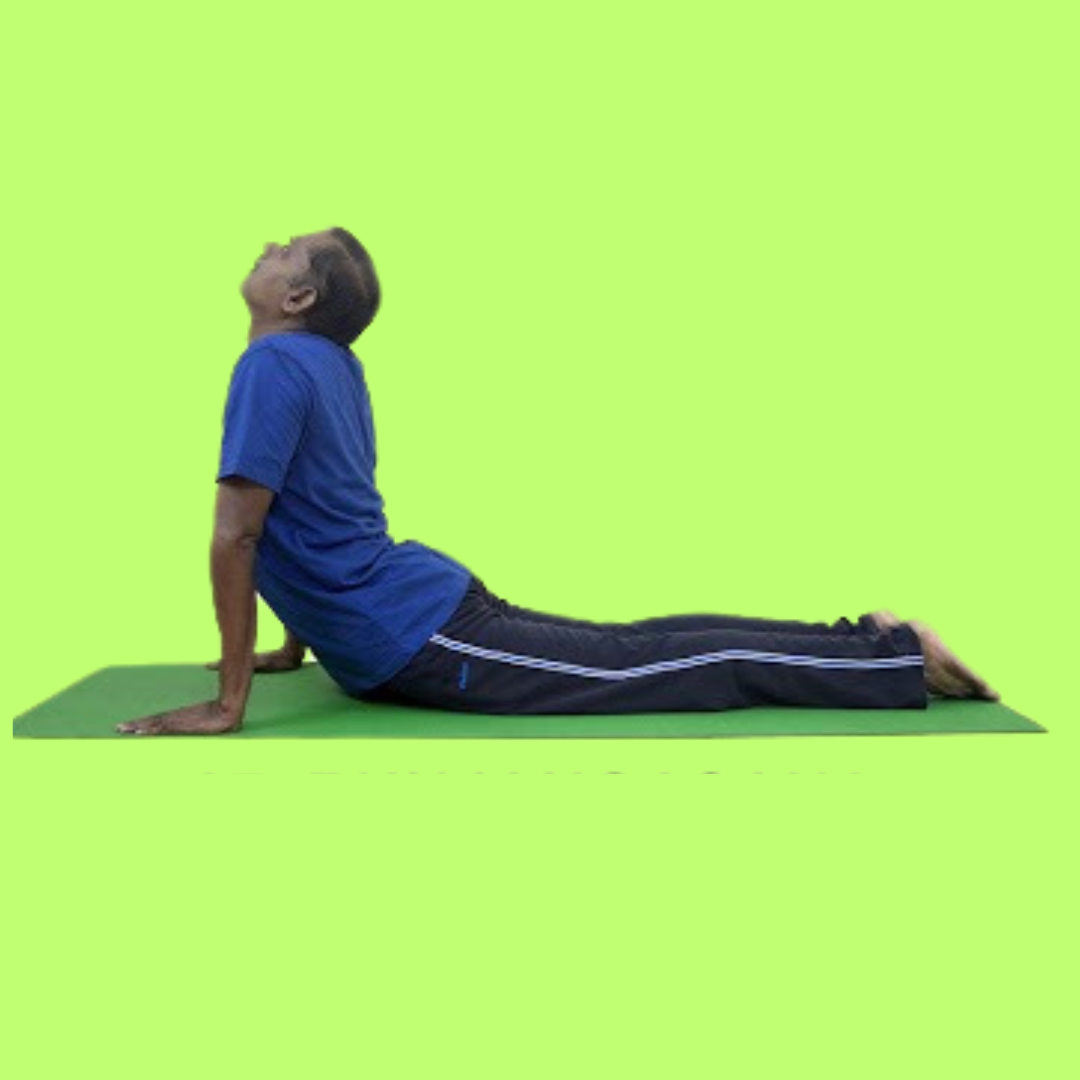 Bhujangasana