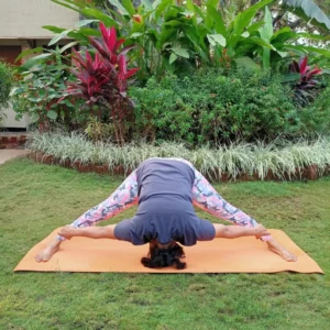 5 PM Regular Yoga Class for Evening Calm