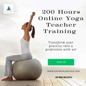 200 hours online yoga teacher training