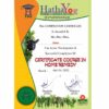 Personalised Yoga classes